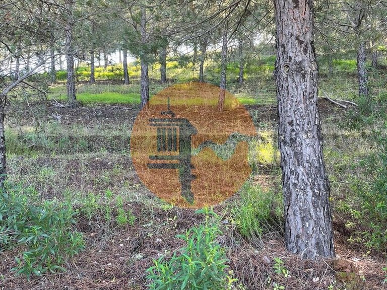 Plot for Sale in Odeleite, Castro Marim, Portugal 15