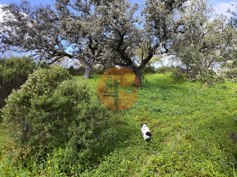 Plot for Sale in Azinhal, Castro Marim, Portugal 3