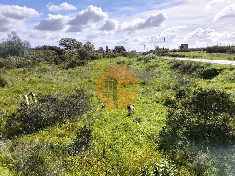 Plot for Sale in Azinhal, Castro Marim, Portugal 1