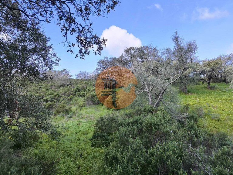Plot for Sale in Azinhal, Castro Marim, Portugal 14