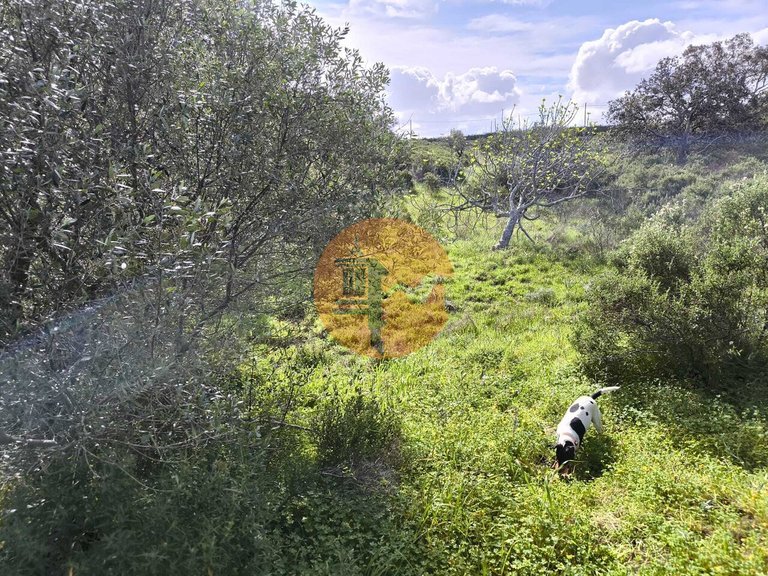 Plot for Sale in Azinhal, Castro Marim, Portugal 17