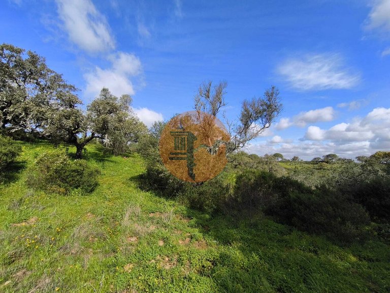Plot for Sale in Azinhal, Castro Marim, Portugal 22