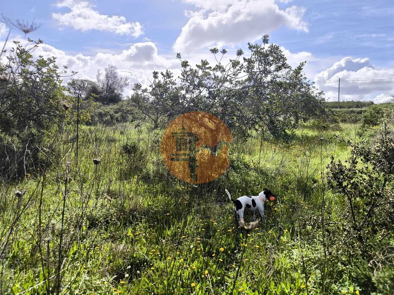 Plot for Sale in Azinhal, Castro Marim, Portugal 27