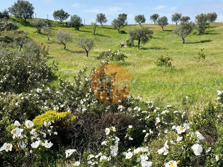 Plot for Sale in Castro Marim, Castro Marim, Portugal 2
