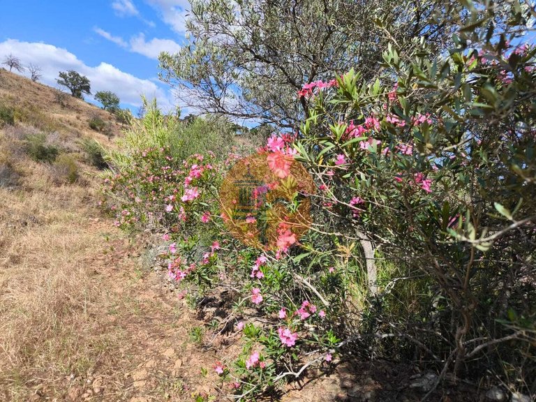 Plot for Sale in Castro Marim, Castro Marim, Portugal 5
