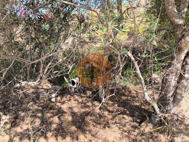 Plot for Sale in Castro Marim, Castro Marim, Portugal 11