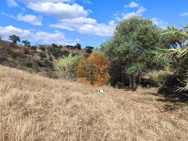 Plot for Sale in Castro Marim, Castro Marim, Portugal 12