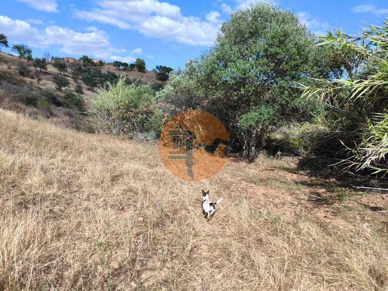 Plot for Sale in Castro Marim, Castro Marim, Portugal 14