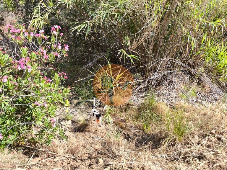 Plot for Sale in Castro Marim, Castro Marim, Portugal 15