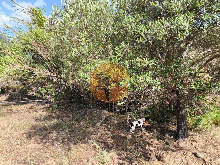 Plot for Sale in Castro Marim, Castro Marim, Portugal 17