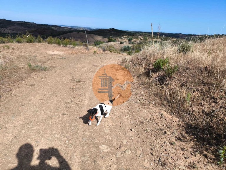 Plot for Sale in Castro Marim, Castro Marim, Portugal 20