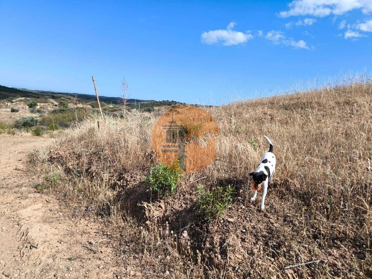 Plot for Sale in Castro Marim, Castro Marim, Portugal 21