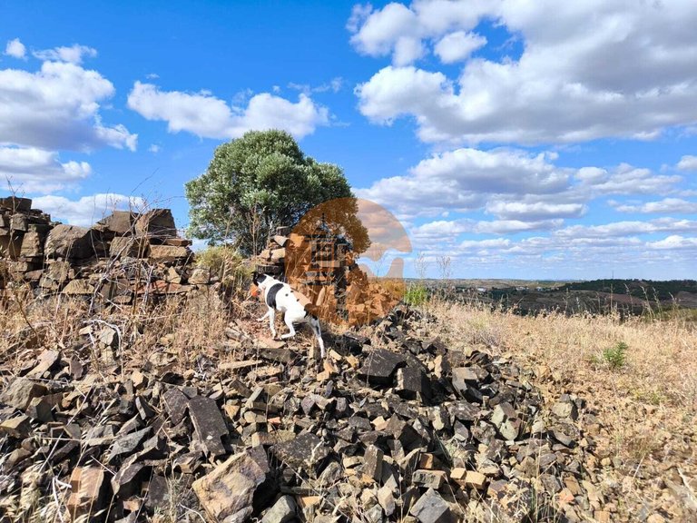 Plot for Sale in Castro Marim, Castro Marim, Portugal 29