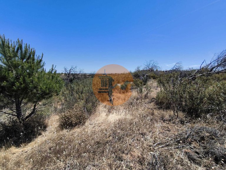 Plot for Sale in Vila Nova De Cacela, Vila Real De Santo António, Portugal 8