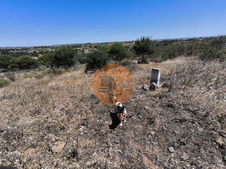Plot for Sale in Vila Nova De Cacela, Vila Real De Santo António, Portugal 9
