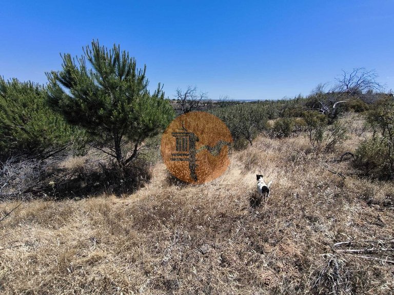 Plot for Sale in Vila Nova De Cacela, Vila Real De Santo António, Portugal 12
