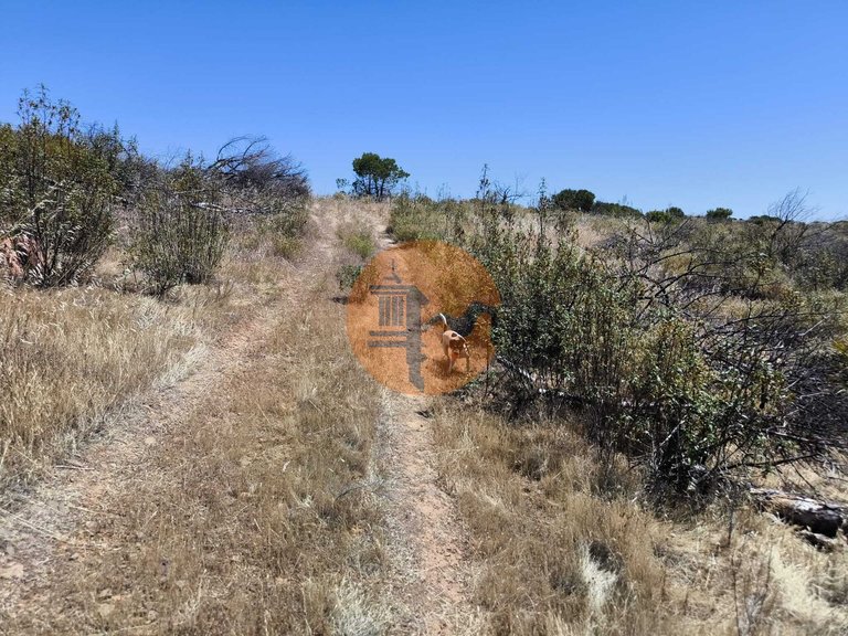 Plot for Sale in Vila Nova De Cacela, Vila Real De Santo António, Portugal 23