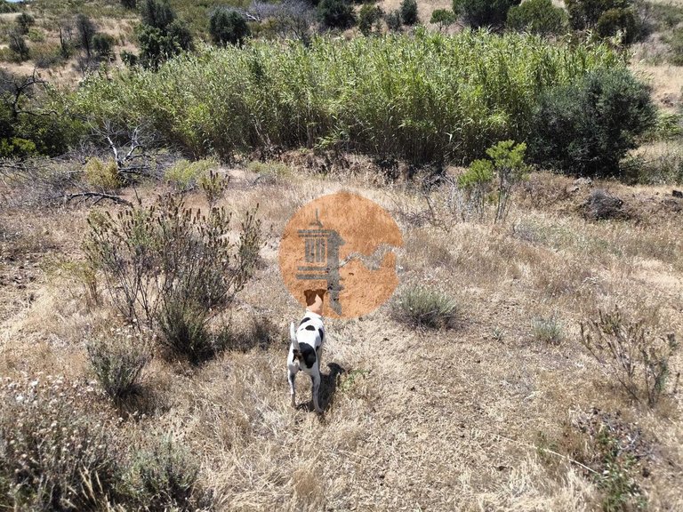 Plot for Sale in Vila Nova De Cacela, Vila Real De Santo António, Portugal 25
