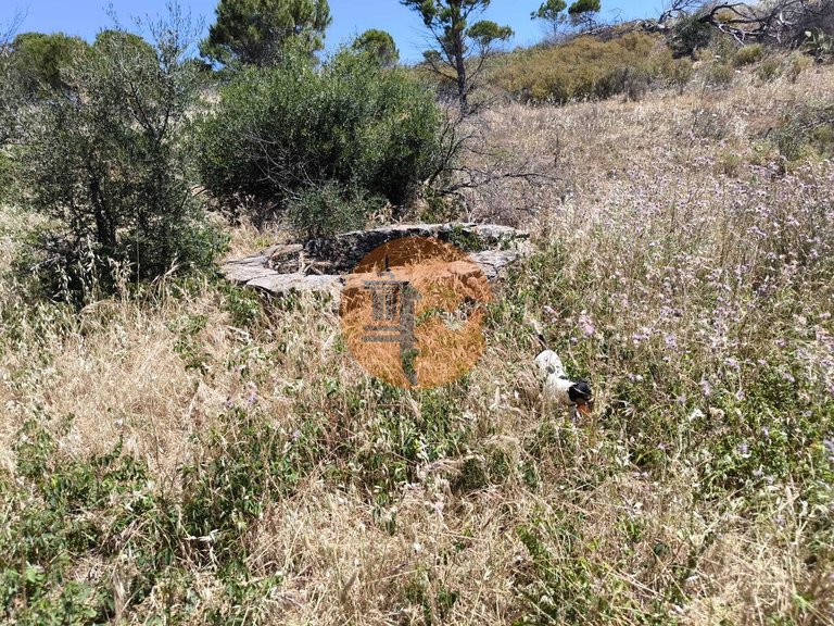 Plot for Sale in Vila Nova De Cacela, Vila Real De Santo António, Portugal 21