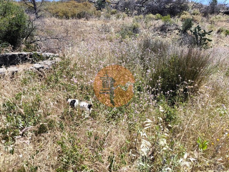 Plot for Sale in Vila Nova De Cacela, Vila Real De Santo António, Portugal 28