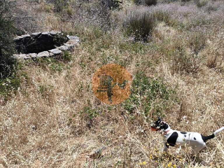 Plot for Sale in Vila Nova De Cacela, Vila Real De Santo António, Portugal 5
