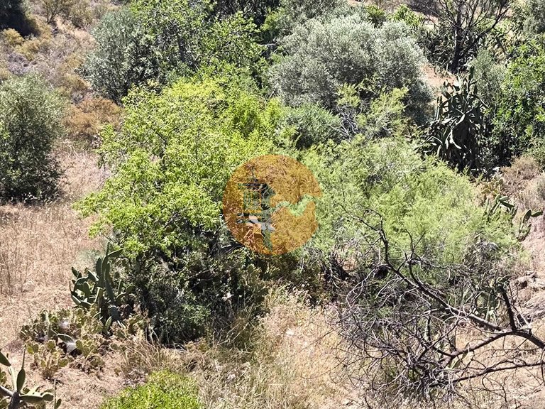Plot for Sale in Altura, Castro Marim, Portugal 8