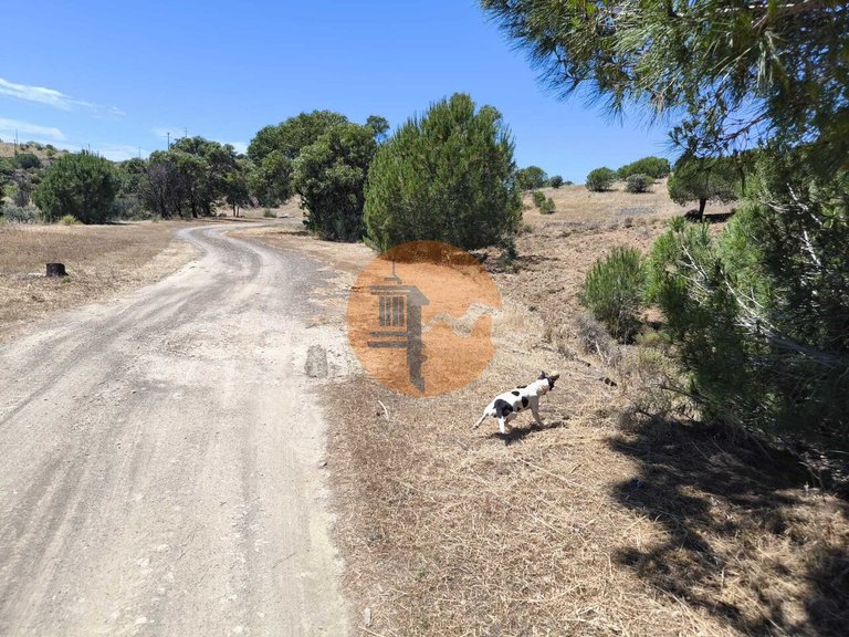Plot for Sale in Altura, Castro Marim, Portugal 10