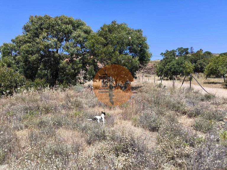 Plot for Sale in Altura, Castro Marim, Portugal 12
