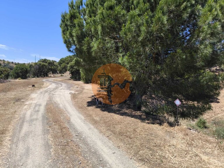 Plot for Sale in Altura, Castro Marim, Portugal 13