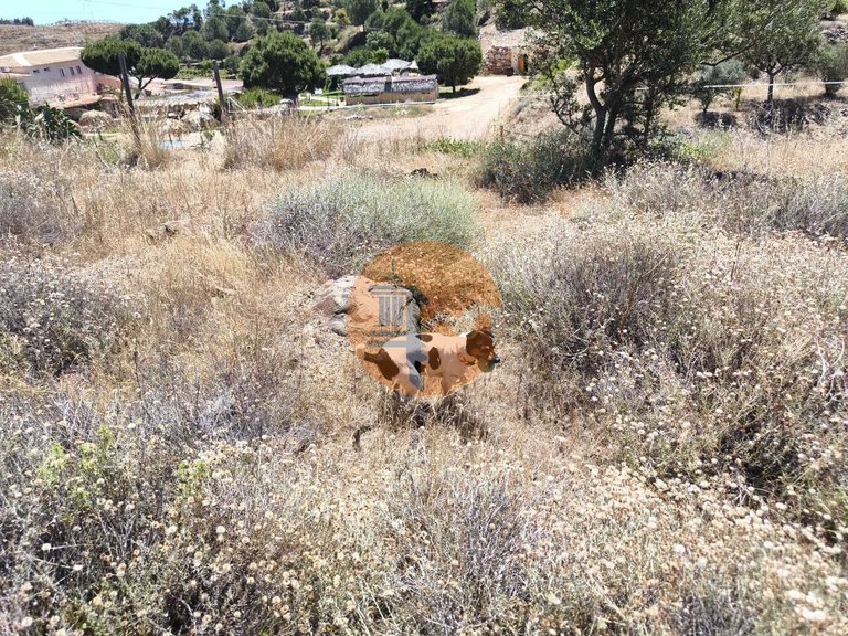 Plot for Sale in Altura, Castro Marim, Portugal 18