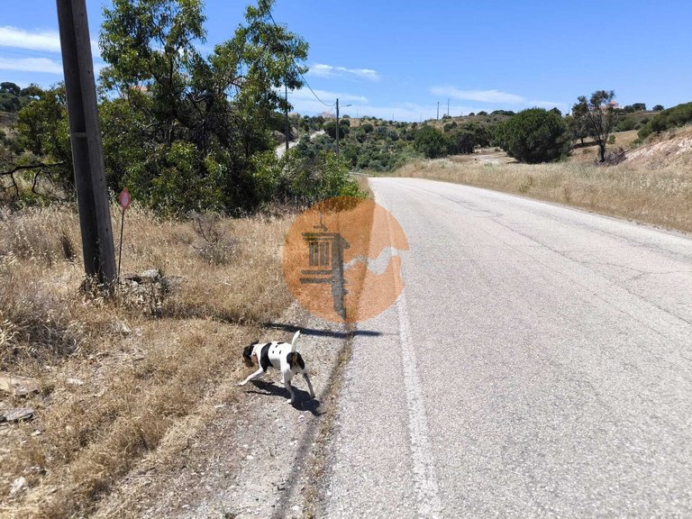 Plot for Sale in Altura, Castro Marim, Portugal 20