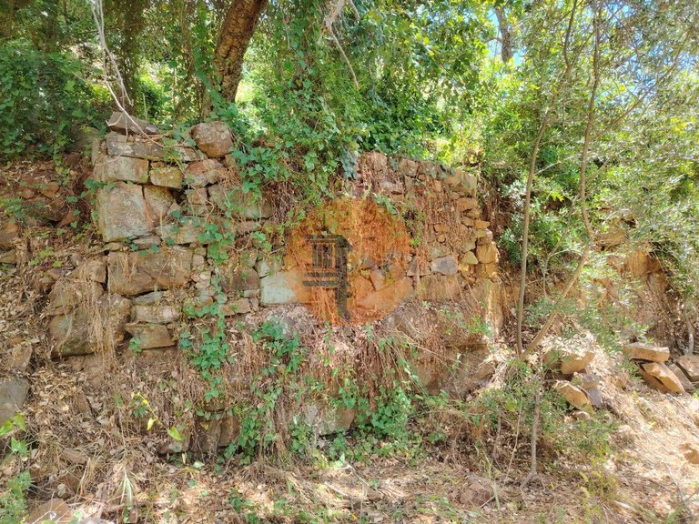 Plot for Sale in Santa Catarina Da Fonte Do Bispo, Tavira, Portugal 2