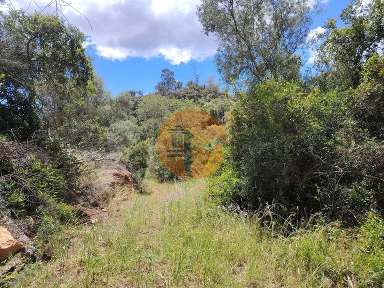 Plot for Sale in Santa Catarina Da Fonte Do Bispo, Tavira, Portugal 3