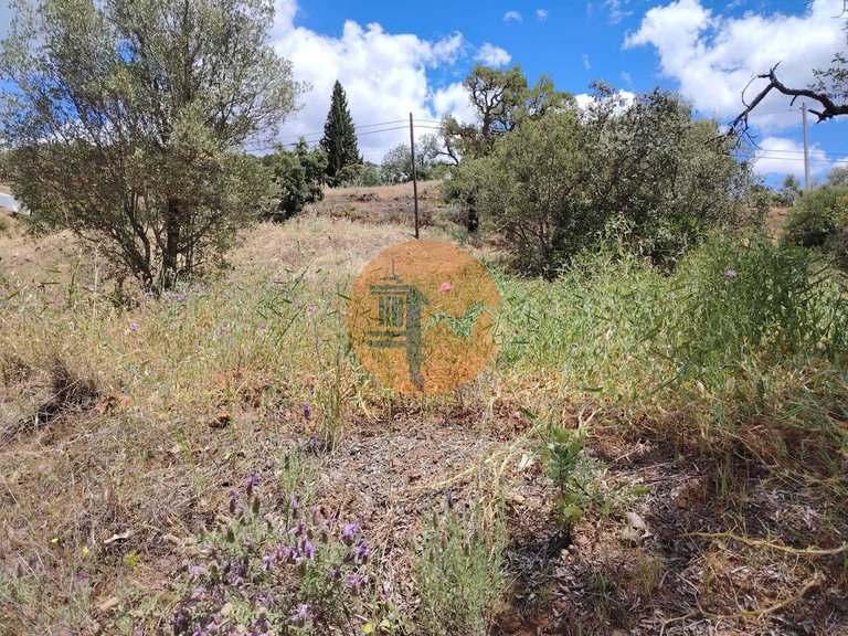 Plot for Sale in Santa Catarina Da Fonte Do Bispo, Tavira, Portugal 4