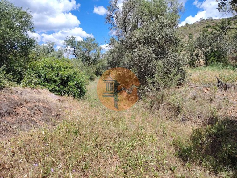 Plot for Sale in Santa Catarina Da Fonte Do Bispo, Tavira, Portugal 5