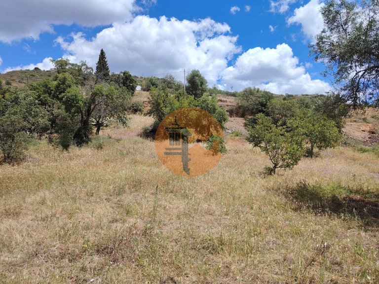 Plot for Sale in Santa Catarina Da Fonte Do Bispo, Tavira, Portugal 6