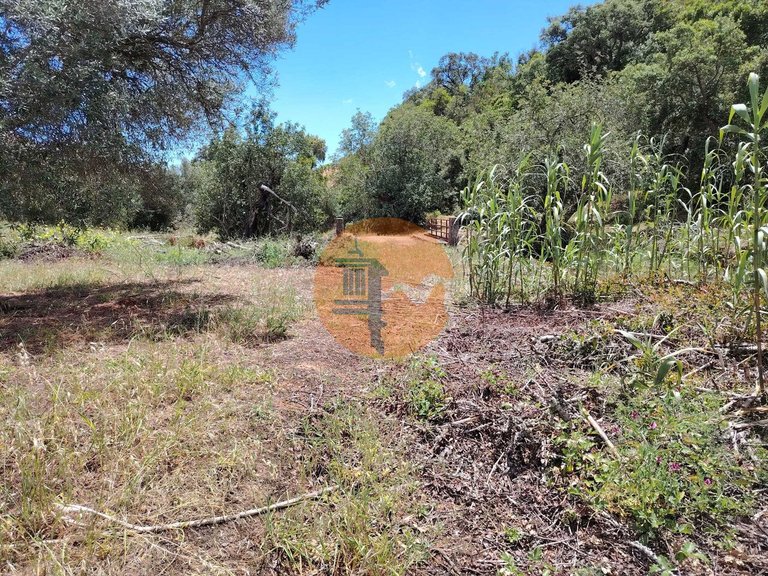 Plot for Sale in Santa Catarina Da Fonte Do Bispo, Tavira, Portugal 9