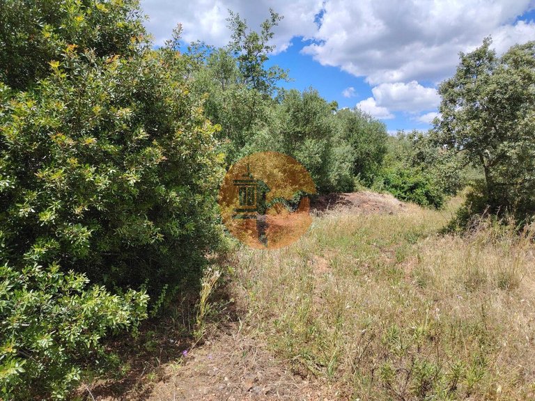 Plot for Sale in Santa Catarina Da Fonte Do Bispo, Tavira, Portugal 10