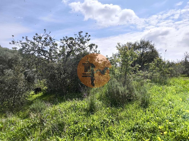 Plot for Sale in Santa Catarina Da Fonte Do Bispo, Tavira, Portugal 33