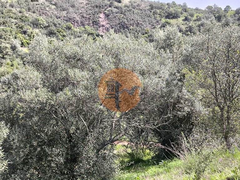 Plot for Sale in Santa Catarina Da Fonte Do Bispo, Tavira, Portugal 34