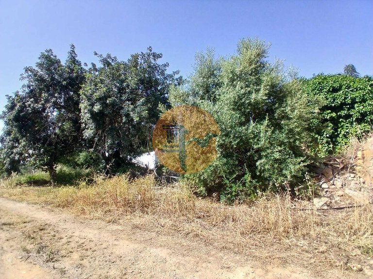 Villa for Sale in Moncarapacho, Olhão, Portugal 10
