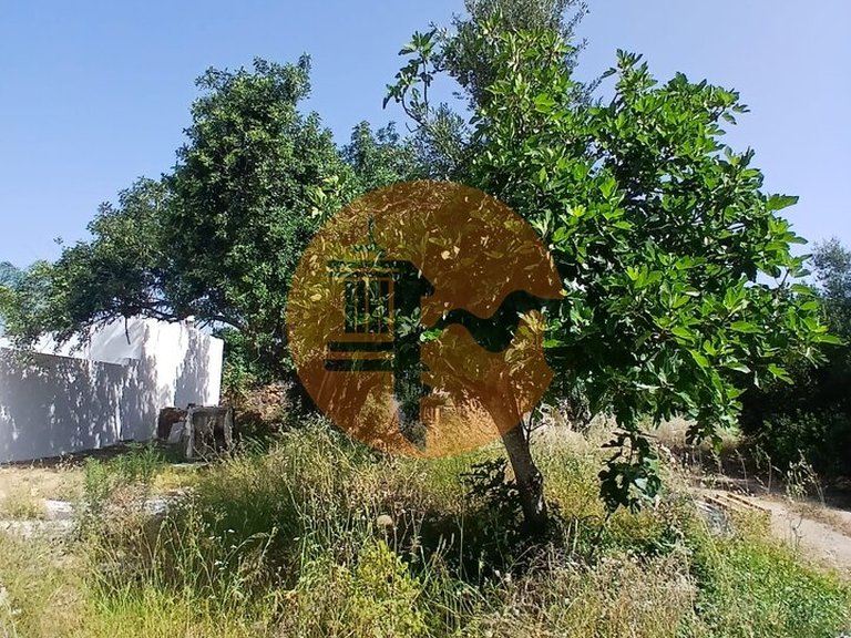 Villa for Sale in Moncarapacho, Olhão, Portugal 18