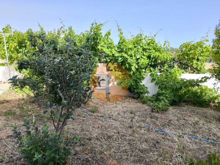 Villa for Sale in Castro Marim, Castro Marim, Portugal 41