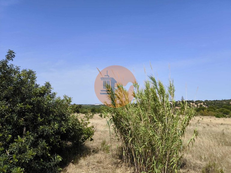 Villa for Sale in Castro Marim, Castro Marim, Portugal 45