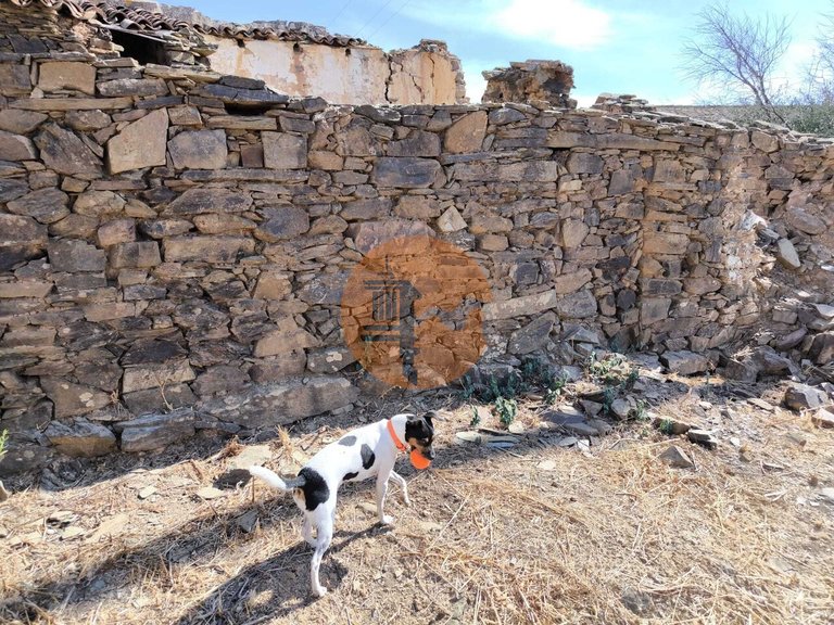Plot for Sale in Conceição, Tavira, Portugal 1