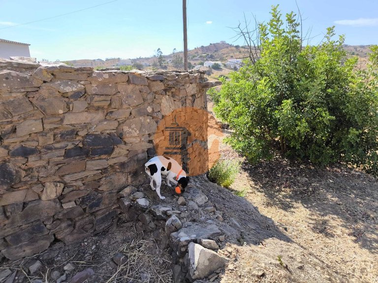 Plot for Sale in Conceição, Tavira, Portugal 21