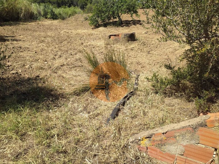 Plot for Sale in Azinhal, Castro Marim, Portugal 3