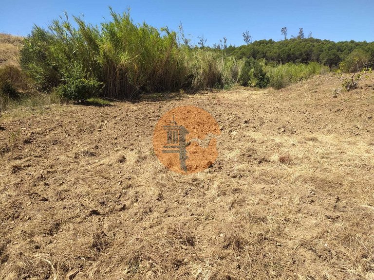 Plot for Sale in Azinhal, Castro Marim, Portugal 4