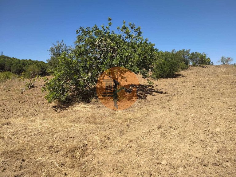 Plot for Sale in Azinhal, Castro Marim, Portugal 5