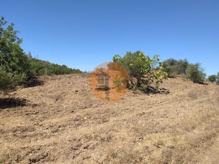 Plot for Sale in Azinhal, Castro Marim, Portugal 10